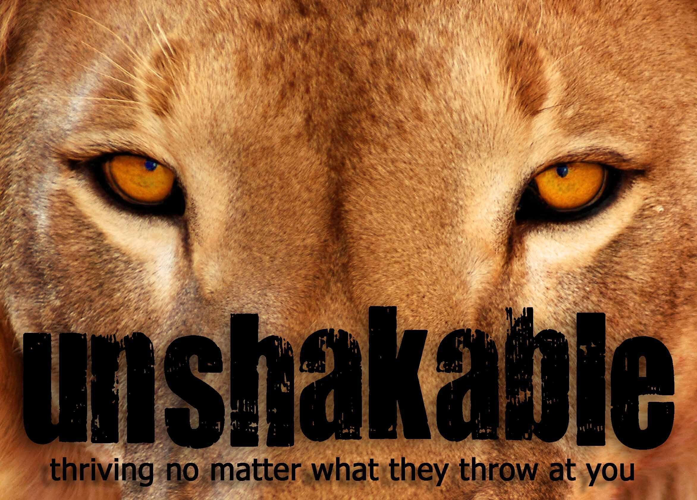 2-5-17 Unshakable - Thriving No Matter What They Throw At You - Part 15
